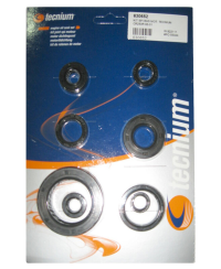 Jeu de joints spi moteur TECNIUM W.822111
