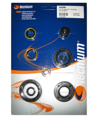 Jeu de joints spi moteur TECNIUM W.822128