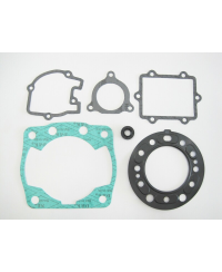 Joint haut-moteur TECNIUM 810261