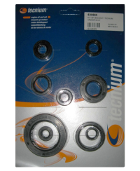 Jeu de joints spi moteur TECNIUM W.822177