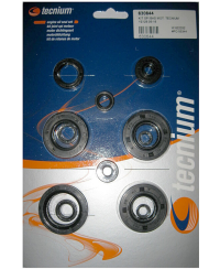 Jeu de joints spi moteur TECNIUM W.822252