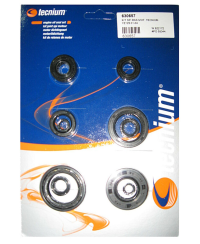 Jeu de joints spi moteur TECNIUM W.822172