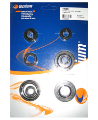 Jeu de joints spi moteur TECNIUM W.822173