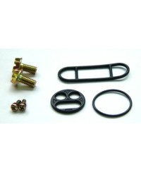 Kit reparation de robinet d'essence TOURMAX