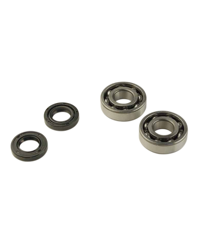 ROULEMENT VILO + JTS SPI MECABOITE ADAPT. DERBI EURO2/EURO3/EURO4 - 6204 C3 CAGE ACIER