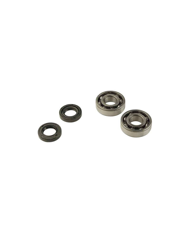 ROULEMENT VILO + JTS SPI MECABOITE ADAPT. DERBI EURO2/EURO3/EURO4 - 6204 C3 CAGE ACIER