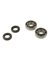 ROULEMENT VILO + JTS SPI MECABOITE ADAPT. DERBI EURO2/EURO3/EURO4 - 6204 C3 CAGE ACIER