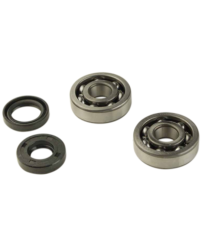 ROULEMENT VILO + JTS SPI MECABOITE ADAPT. AM6 - 6303 C3 CAGE ACIER