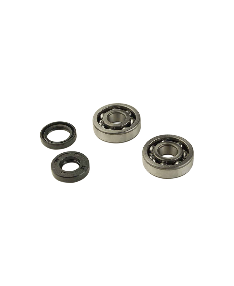 ROULEMENT VILO + JTS SPI MECABOITE ADAPT. AM6 - 6303 C3 CAGE ACIER