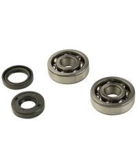 ROULEMENT VILO + JTS SPI MECABOITE ADAPT. AM6 - 6303 C3 CAGE ACIER