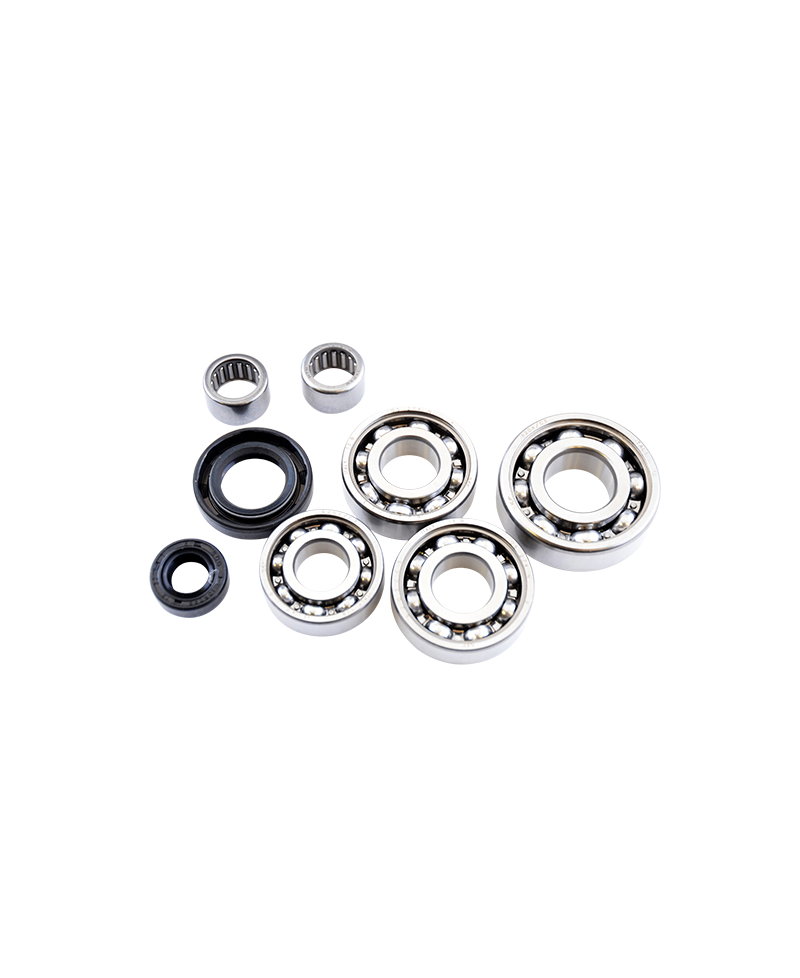 ROULEMENT BOITE DE VITESSE + JTS SPI + DOUILLE DOPPLER ADAPT. AM6