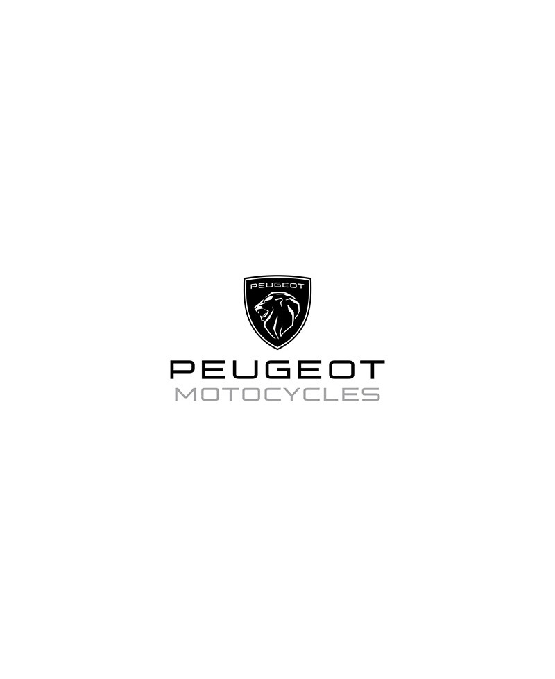 POMPE A HUILE MECABOITE OEM PEUGEOT AM6 PRICOL