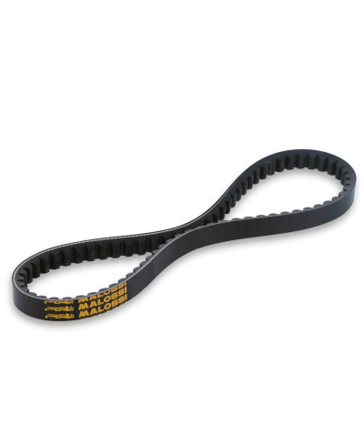 COURROIE CYCLO MALOSSI SPECIAL BELT ADAPT. 103 SPX/RCX CRANTE (15X8X747MM-30°)