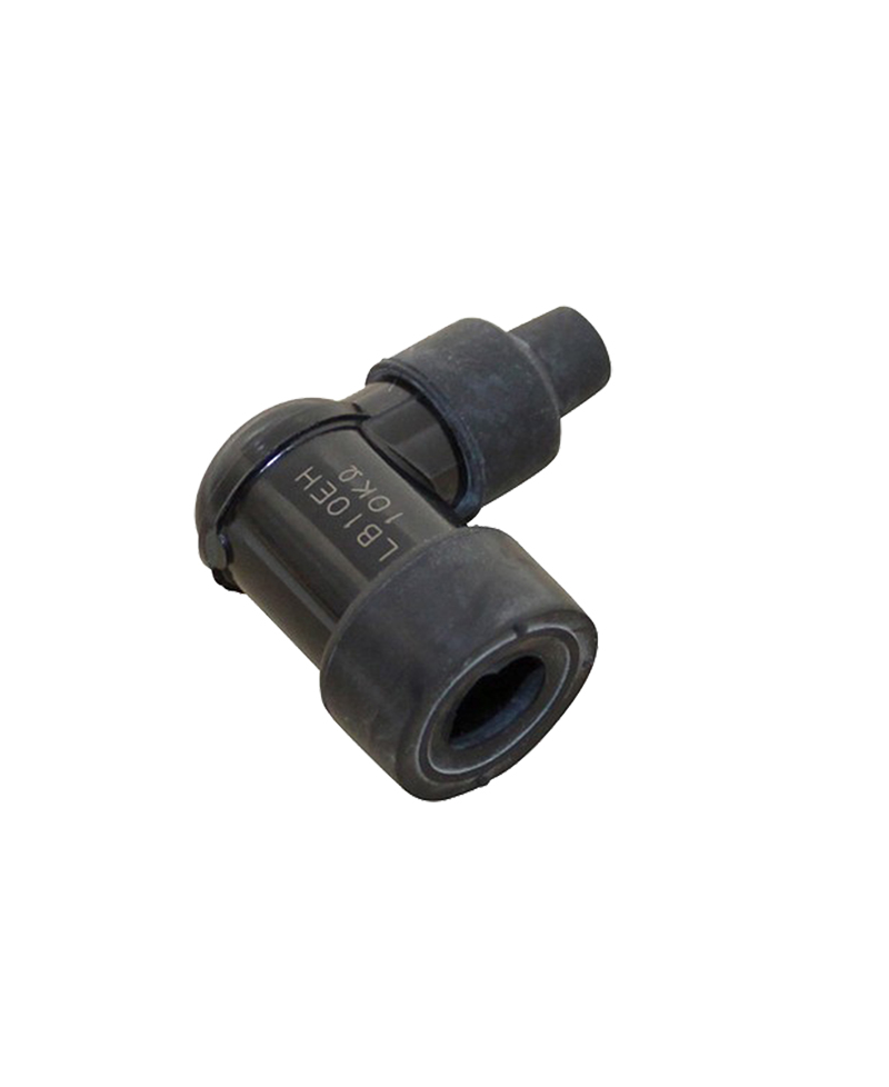 ANTIPARASITE NGK LB10EH