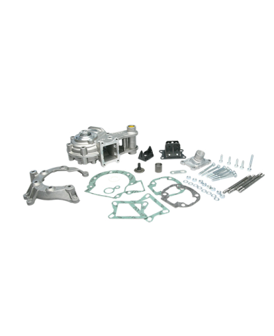 CARTER MOTEUR CYCLO MALOSSI ADAPT. 103 SP/MVL/VOGUE