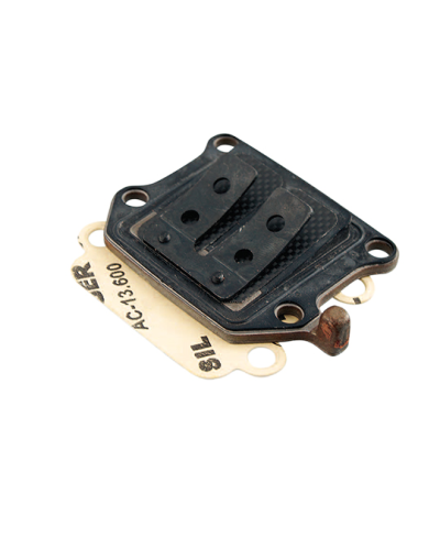 CLAPET SCOOTER MALOSSI VL10 CARBONE ADAPT. BOOSTER/BW'S/STUNT/SLIDER/ROCKET