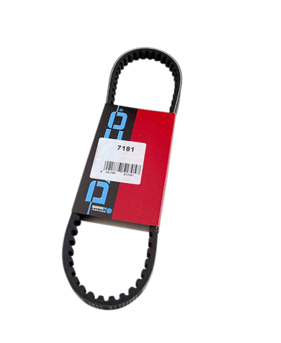 COURROIE CYCLO DAYCO ADAPT. CIAO PX SANS VARIATEUR CRANTE POULIE ORIGINE 955X9.5