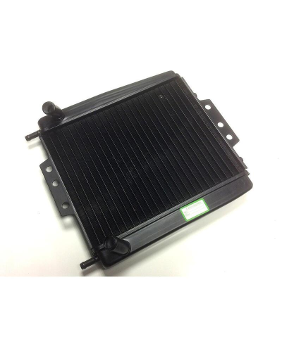 Radiateur BIHR - Piaggio MP3 125 - 500 E0936001