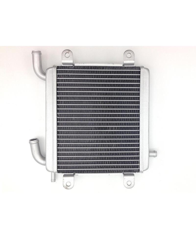 Radiateur BIHR - Yamaha Aerox 50 / MBK Nitro 50 E0936005