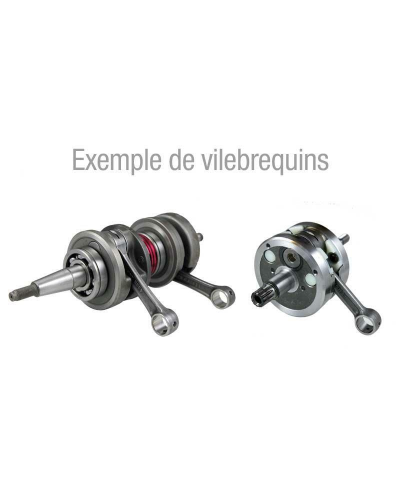 Vilebrequin renforce TECNIUM - Derbi E0906010A
