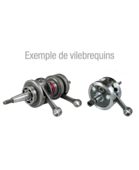 Vilebrequin renforce TECNIUM - Derbi E0906010A