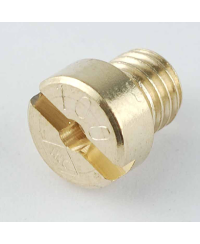 GICLEUR PHBG/SHA 100          (DIAM. 5)