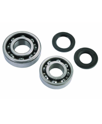 ROULEMENT VILO + JTS SPI CYCLO ADAPT. PEUGEOT 103 - 6203 C3 ET 6204 C3 CAGE ACIER