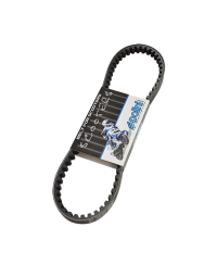 COURROIE SCOOTER POLINI ADAPT. SPEEDFIGHT/TREKKER/BUXY/LUDIX/VIVACITY 3 2T/KISBEE 2T