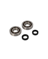 ROULEMENT VILO + JTS SPI SCOOTER ADAPT. PIAGGIO TYPHOON/NRG/RUNNER/STALKER/ZIP/FLY 2T/DNA