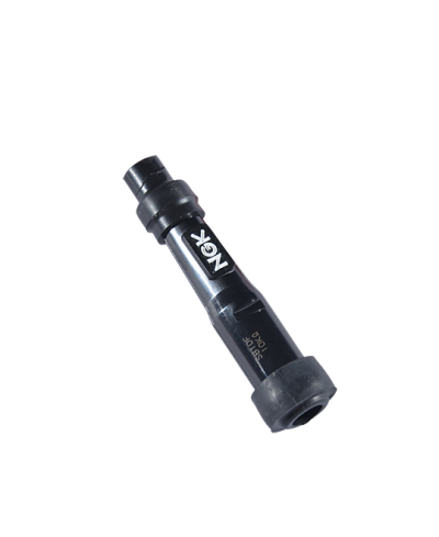 ANTIPARASITE NGK SB10F