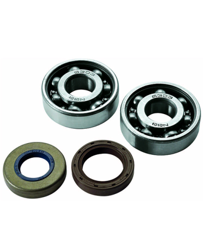 ROULEMENT VILO + JTS SPI MECABOITE ADAPT. AM6 - 6303 C4 CAGE ACIER