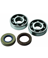 ROULEMENT VILO + JTS SPI MECABOITE ADAPT. AM6 - 6303 C4 CAGE ACIER