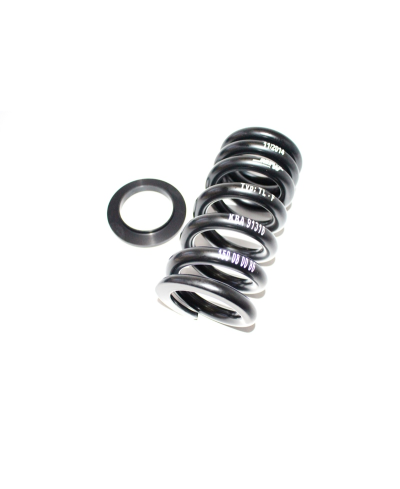 Kit de rabaissement TECNIUM -30mm 150088616TEC