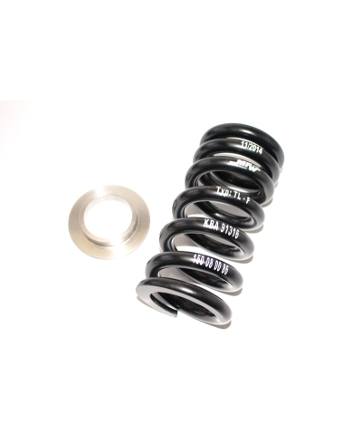 Kit de rabaissement TECNIUM -30mm 150088615TEC