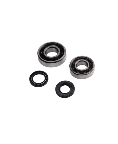 ROULEMENT VILO + JTS SPI CYCLO ADAPT. PEUGEOT 103 - 6203 C3 ET 6204 C3 FAG CAGE POLYAMIDE