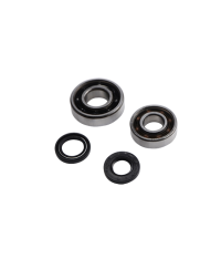 ROULEMENT VILO + JTS SPI CYCLO ADAPT. PEUGEOT 103 - 6203 C3 ET 6204 C3 FAG CAGE POLYAMIDE