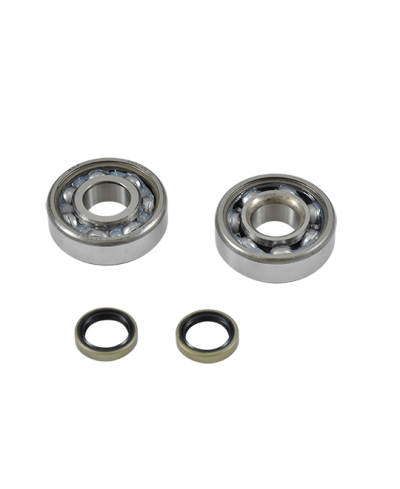 ROULEMENT VILO + JTS SPI CYCLO ADAPT. MBK 51/88/89 - 6302QR (4401466CC) C3 SKF CAGE ACIER