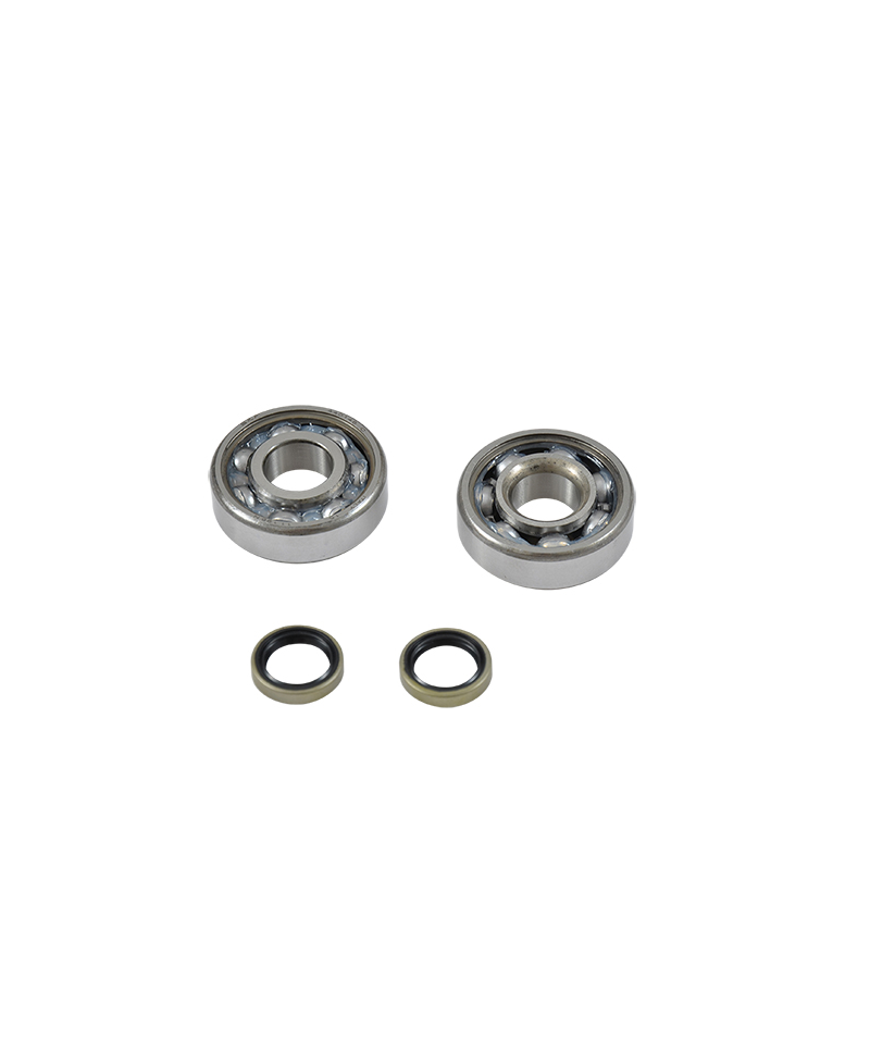 ROULEMENT VILO + JTS SPI CYCLO ADAPT. MBK 51/88/89 - 6302QR (4401466CC) C3 SKF CAGE ACIER