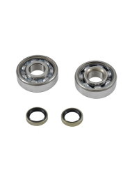 ROULEMENT VILO + JTS SPI CYCLO ADAPT. MBK 51/88/89 - 6302QR (4401466CC) C3 SKF CAGE ACIER