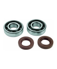 ROULEMENT VILO + JTS SPI MECABOITE ADAPT. DERBI EURO2/EURO3/EURO4 - 6204 C4 SKF CAGE POLYA