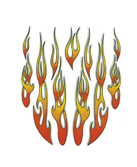 AUTOCOLLANT FLAMMES (20X24CM)