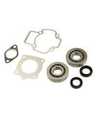 ROULEMENT VILO + JTS SCOOTER ADAPT. TYPHOON/STALKER/ICE/ZIP (JTS SPI+H.M.)