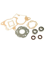 ROULEMENT VILO + JTS MECABOITE ARTEIN ADAPT. DERBI SENDA/GPR EURO2 - 6204 (COMPLET)